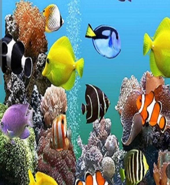 تصاویر آکواریوم با هوش مصنوعی