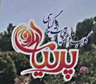 گلاب و عرقیات پرنیان