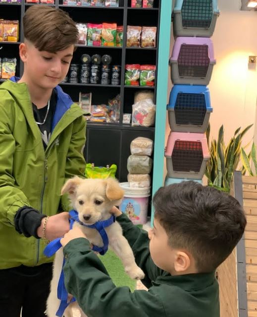 عکسهای کلینیک