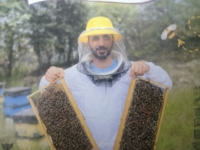 عسل گیلان شهد