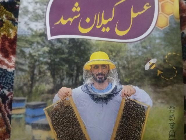 عسل گیلان شهد
