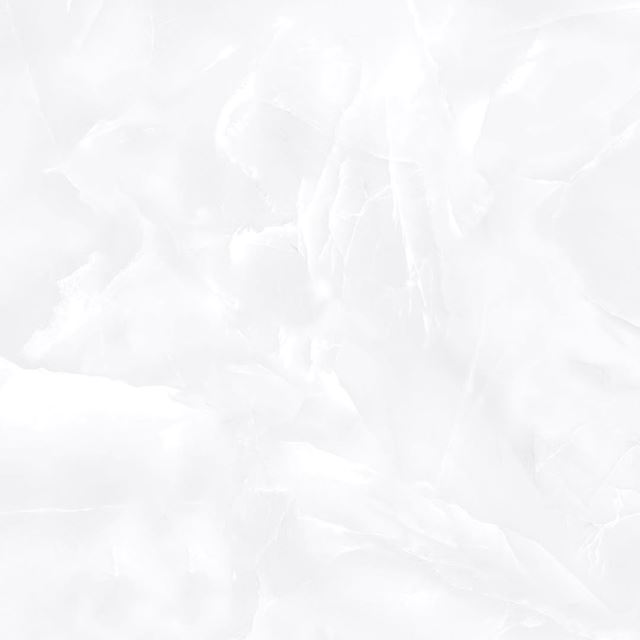 هامبورگ طوسی 100*100