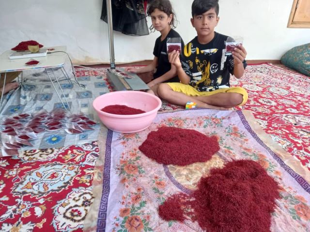 کمک به کار اقتصادی خانواده