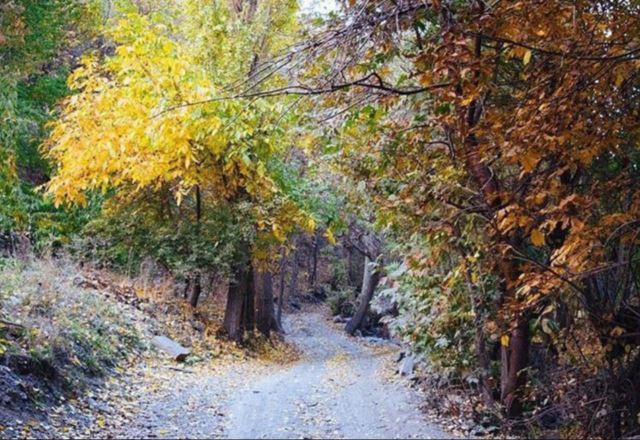 منطقه ییلاقی گلستان