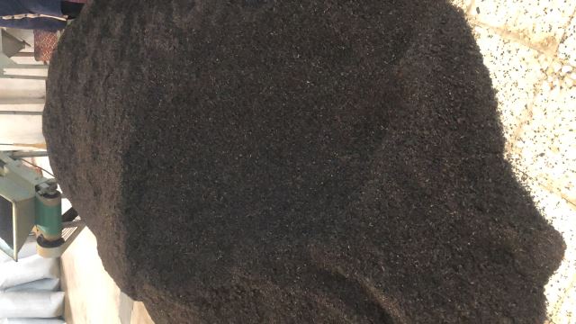 چای قلم بهاره ممتاز