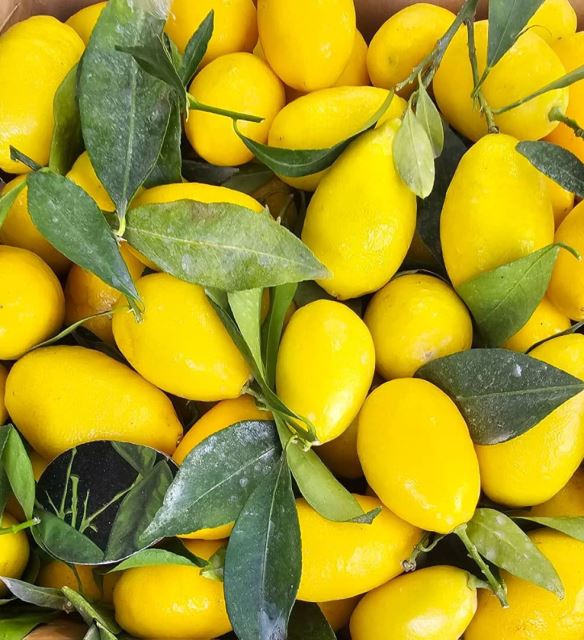میوه