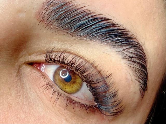 لاین اکستنشن مژه
