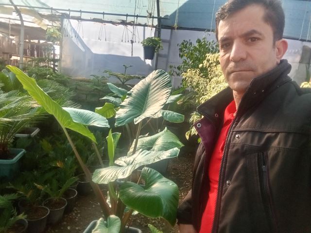 ارائه و فروش گلهای طبیعی 