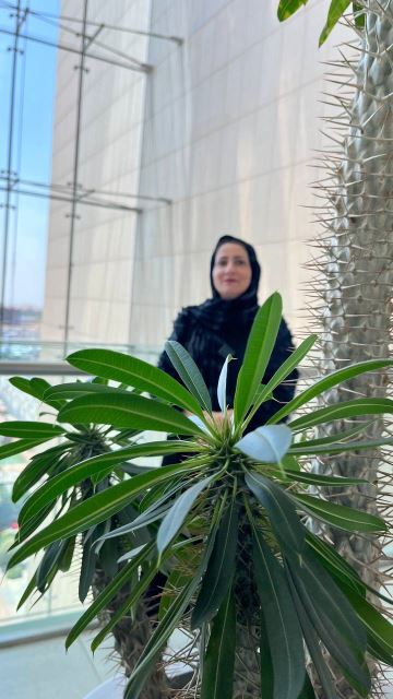 خیاطی انلاین