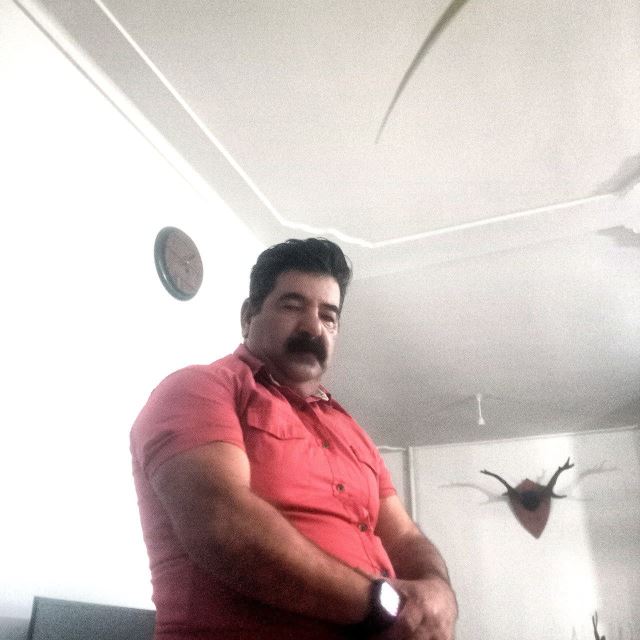 خدمات نوین ما