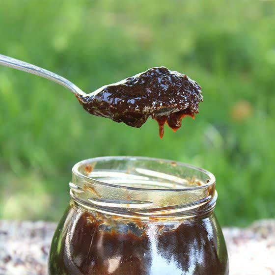 رب جنگلی شمال