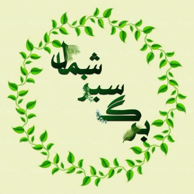 فروشگاه برگ سبزشمال