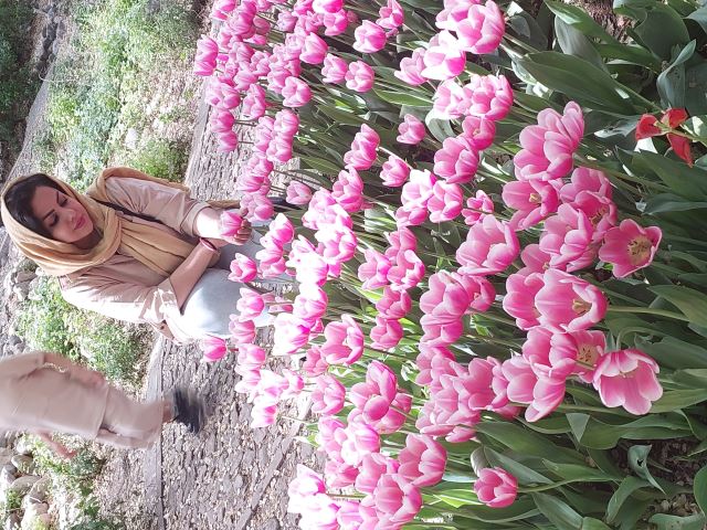 مینا عباسی فشمی