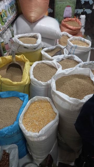 خوراک دام و طیور