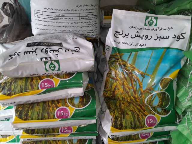 کود سبز رویش برنج