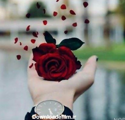 شرکت گسترش طراحان نقش الماس 