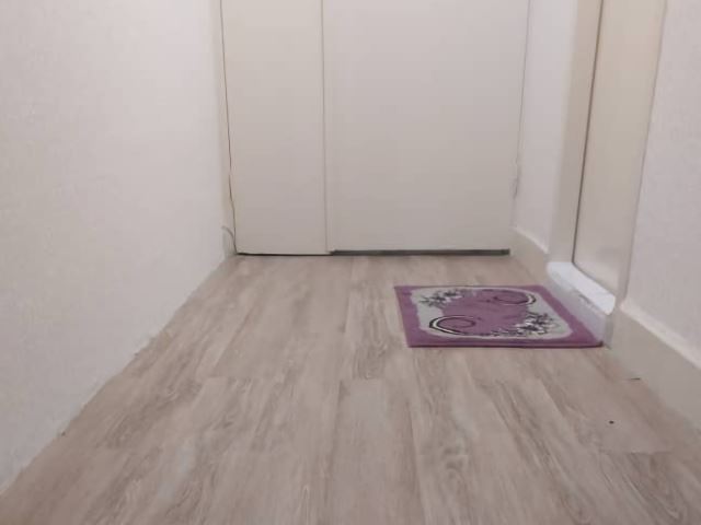 کاغذدیواری