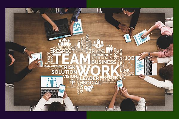 مدیر فروش هولدینگ G.T.N.A