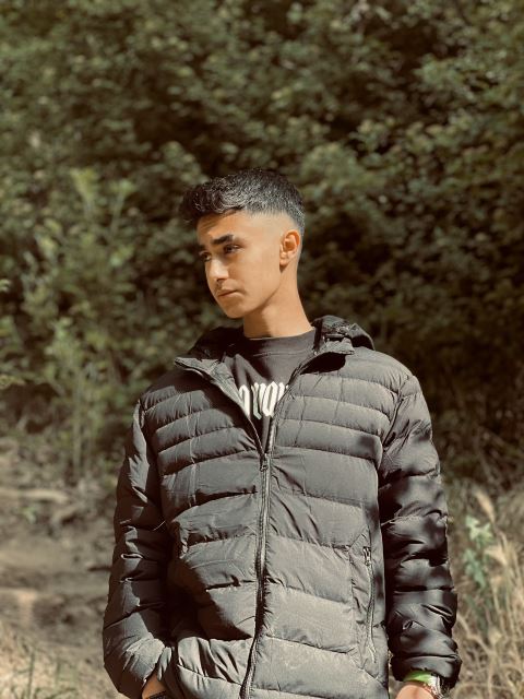 ali aloostani