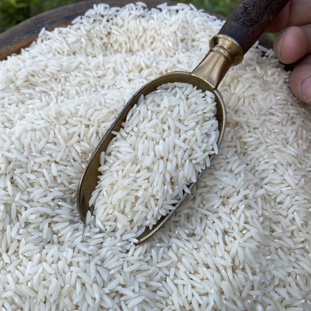 برنج طارم