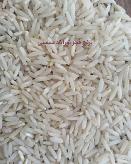 برنج فجر نورآباد
