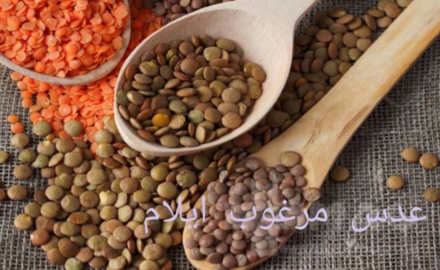 عدس ایلام