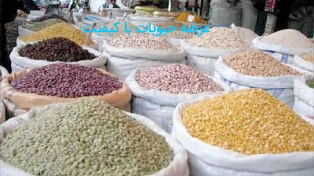 خرید حبوبات وارداتی