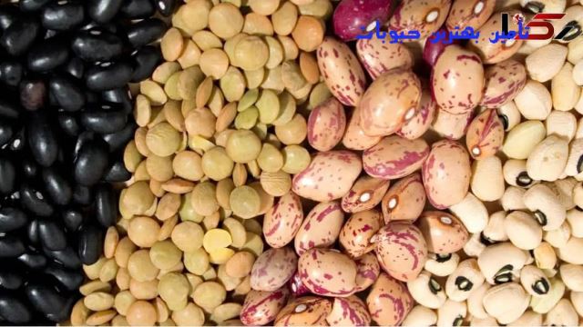 تامین حبوبات وارداتی