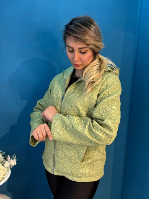 هودی و پافر