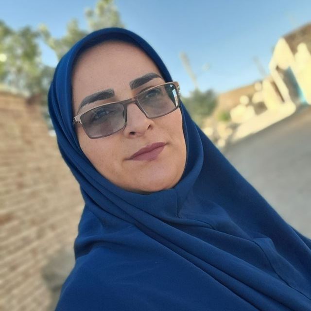 شرکت گسترش طراحان نقش الماس 