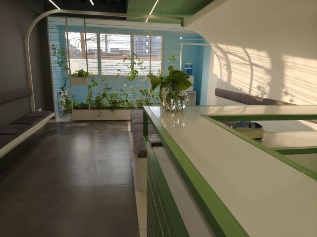 متخصص گوش، حلق و بینی