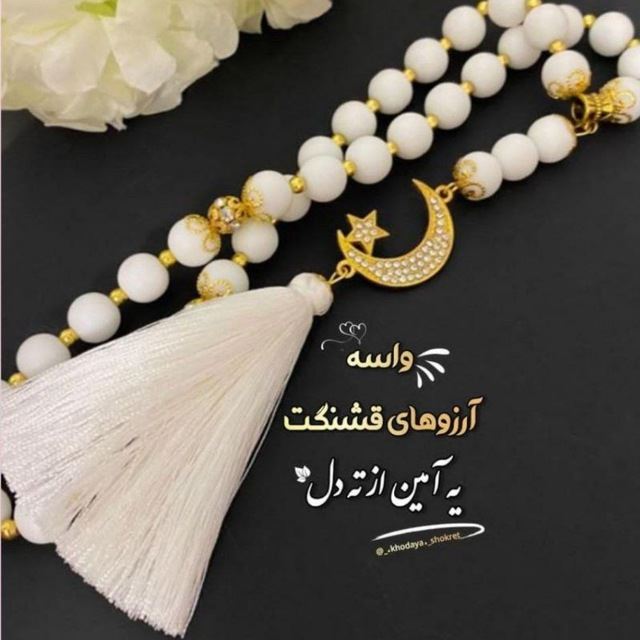 شهین ابوالفتح پوردونیقی