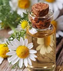 روغن بابونه