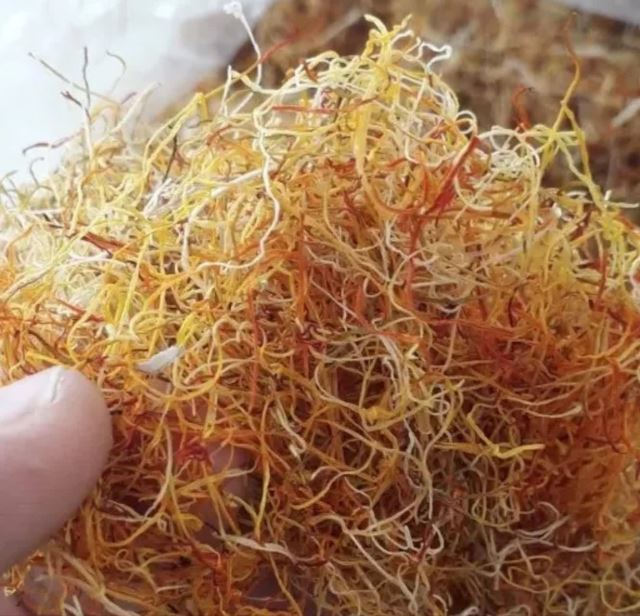 خواص ریشه زعفران 