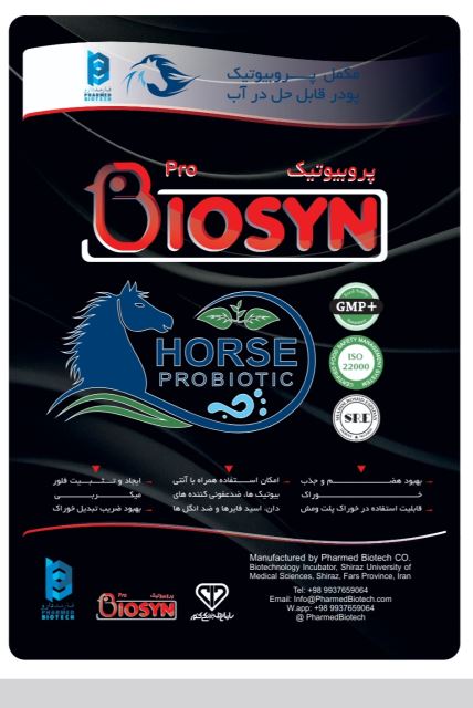 پروبیوتیک اسب کیلویی