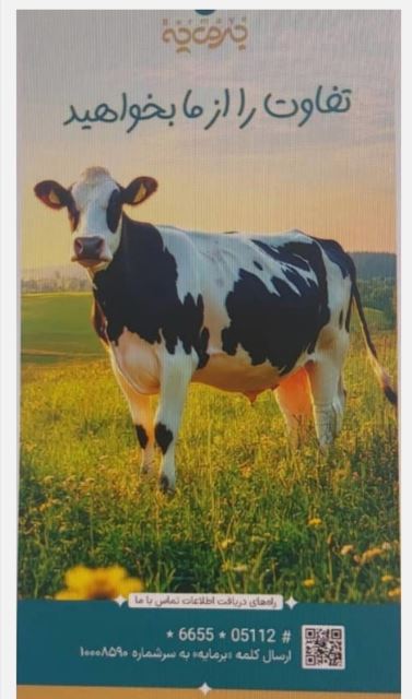 شرکت برمایه(دام پخش شهر راز)