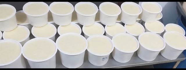 شیربرنج صبح عصر و شب موجود می باشد.