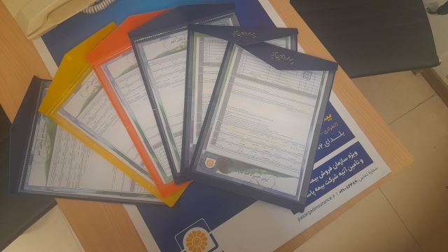 بیمه صادر شده