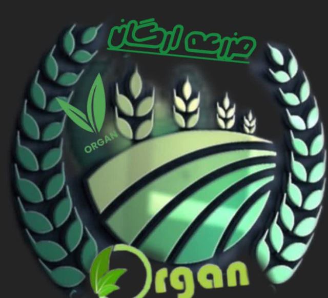 مزرعه ارگان