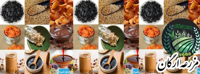 مزرعه ارگان