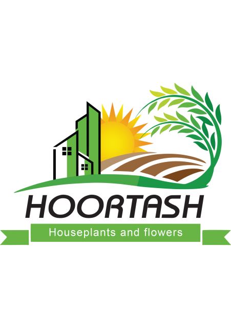 برند هورتاش 