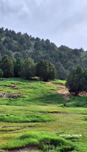 مشاور فروش کارت ویزیت مجازی و کد دستوری