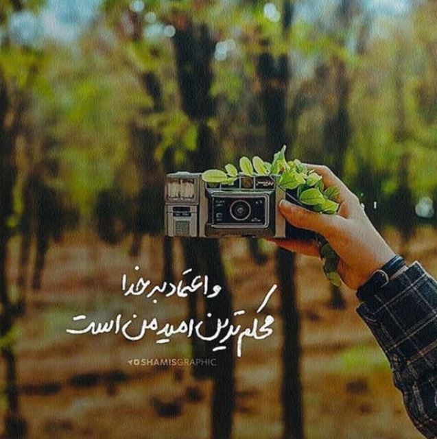 طراحی سئو وسایت