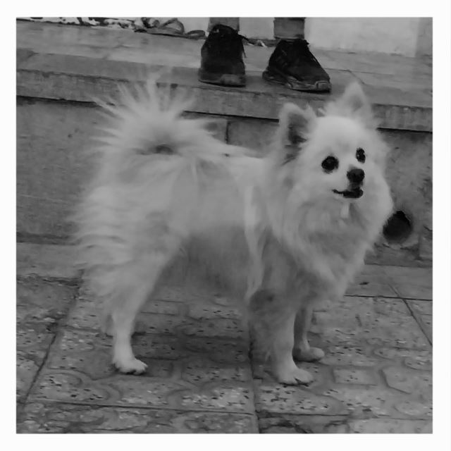 لباسشویی پاکشوما 