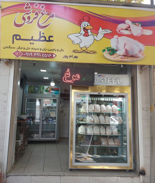 مرغ عظیم اسفراین 