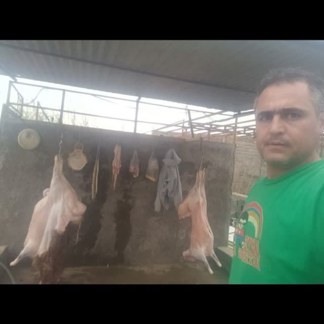 سوپر گوشت طالبی بیدک 