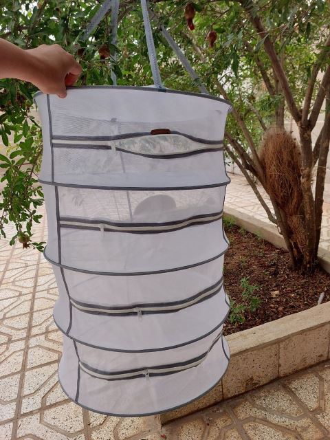 توری خشک کن میوه و سبزی 