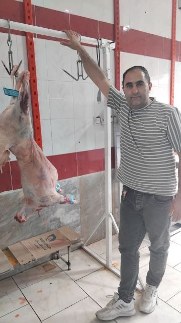 پروتئینی ارشیا اسفراین 