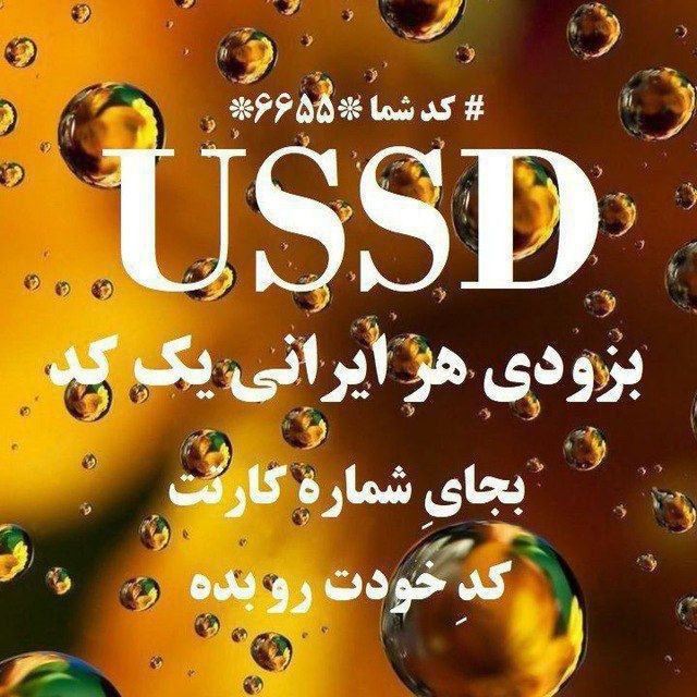 رقیه محمدی رسا