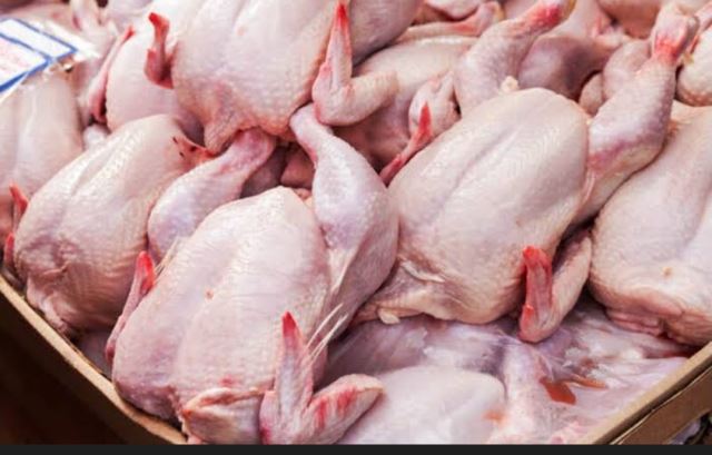 پروتئینی نعیمی اسفراین 